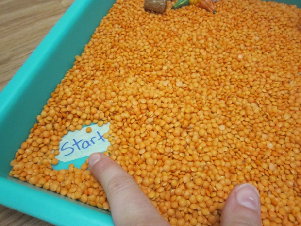 Maze Through Lentils (5)