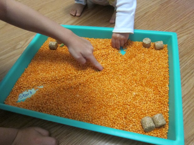 Maze Through Lentils (6)