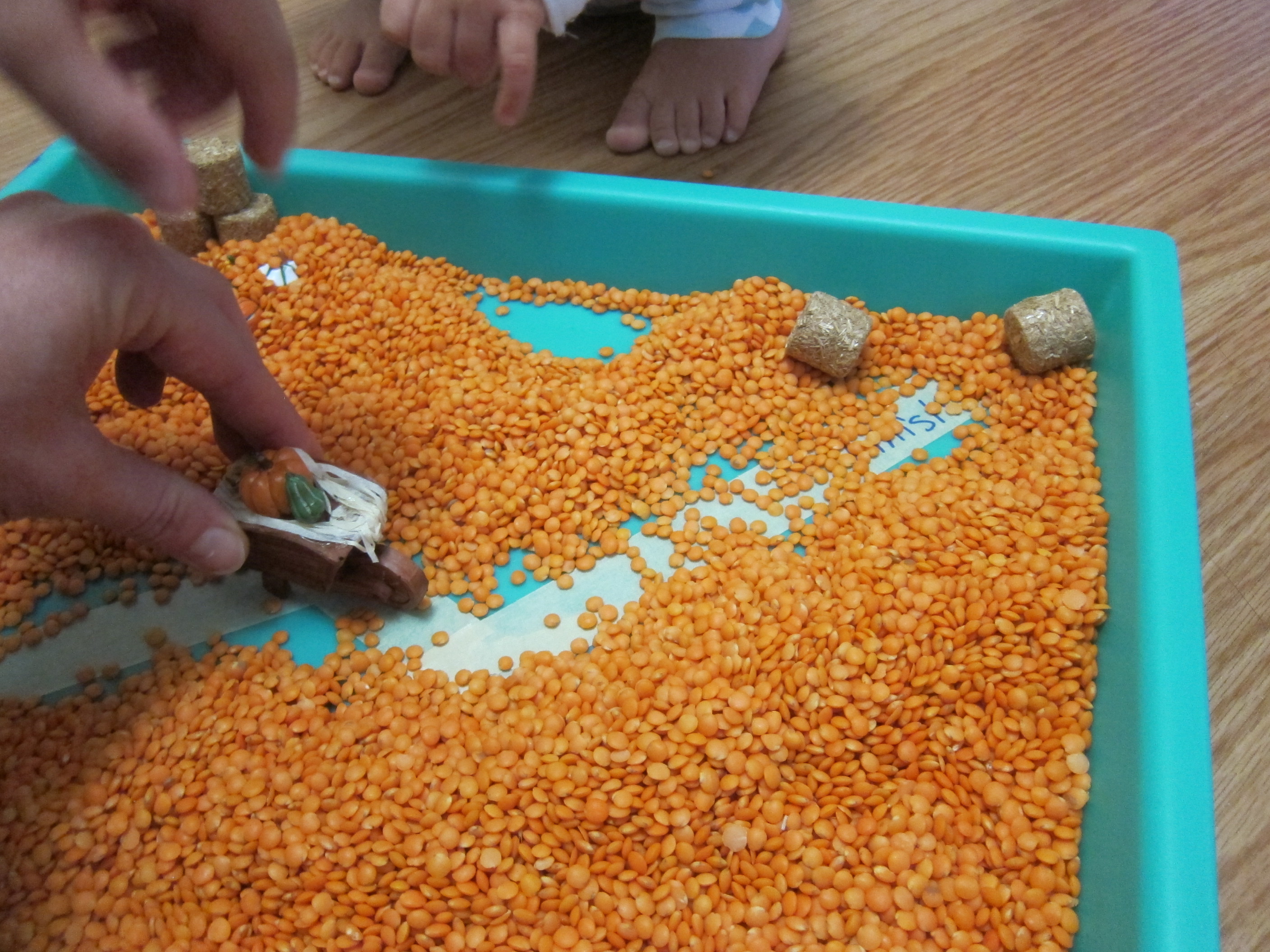 Maze Through Lentils (7)