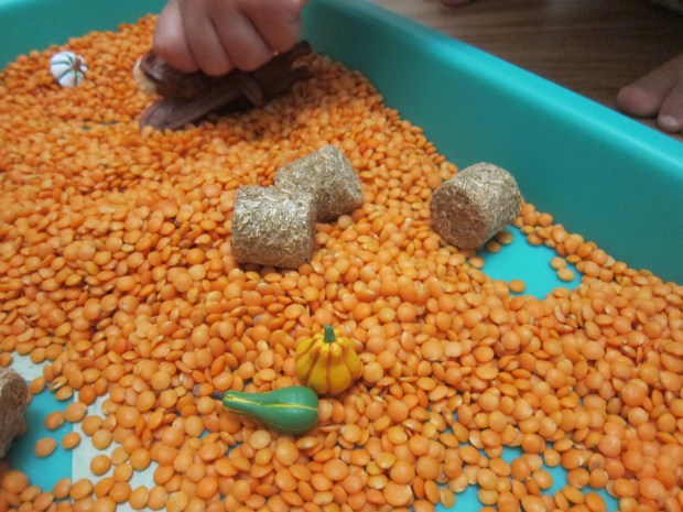 Maze Through Lentils (8)