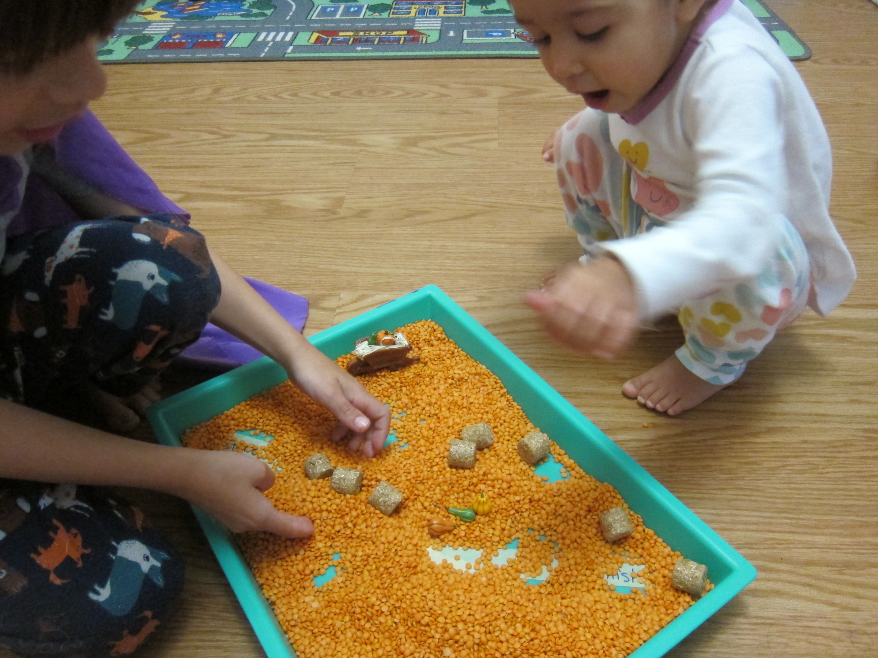 Maze Through Lentils (9)