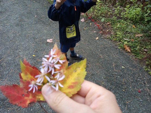 No Carve Nature Pumpkin (1)