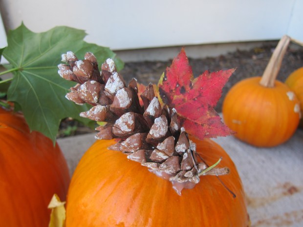 No-Carve Nature Pumpkins (11)