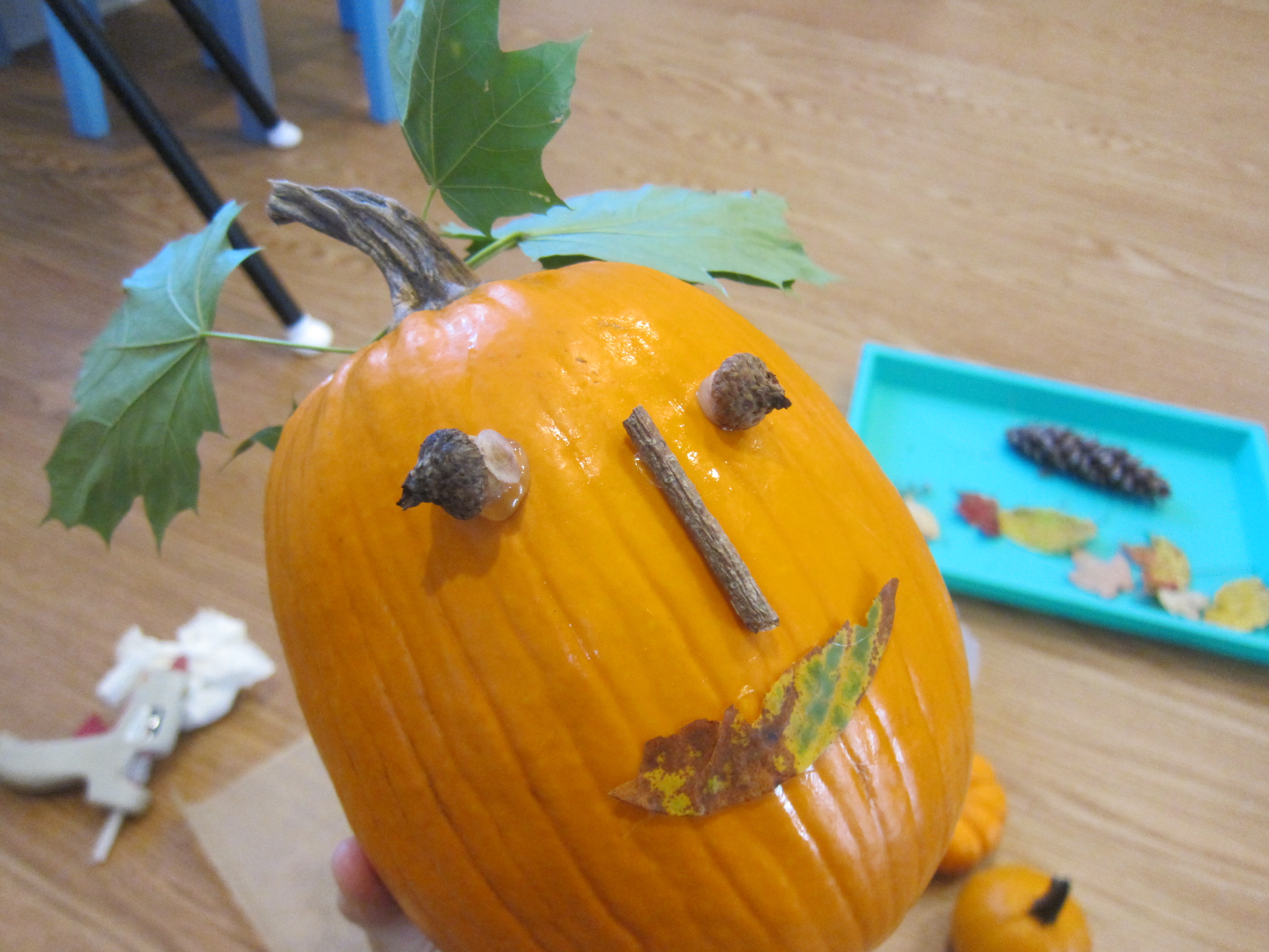 No-Carve Nature Pumpkins (6)