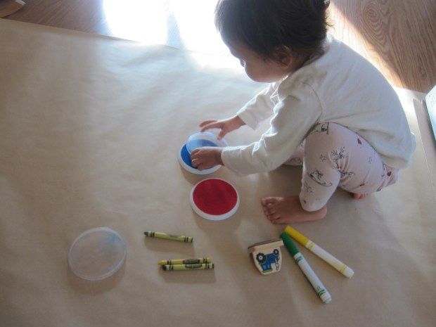 Party Tablecloth (1)