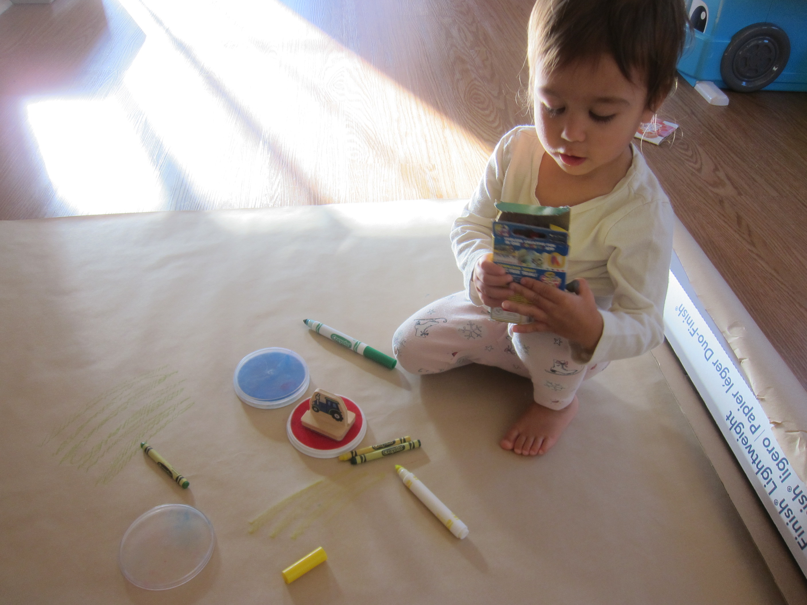 Party Tablecloth (3)