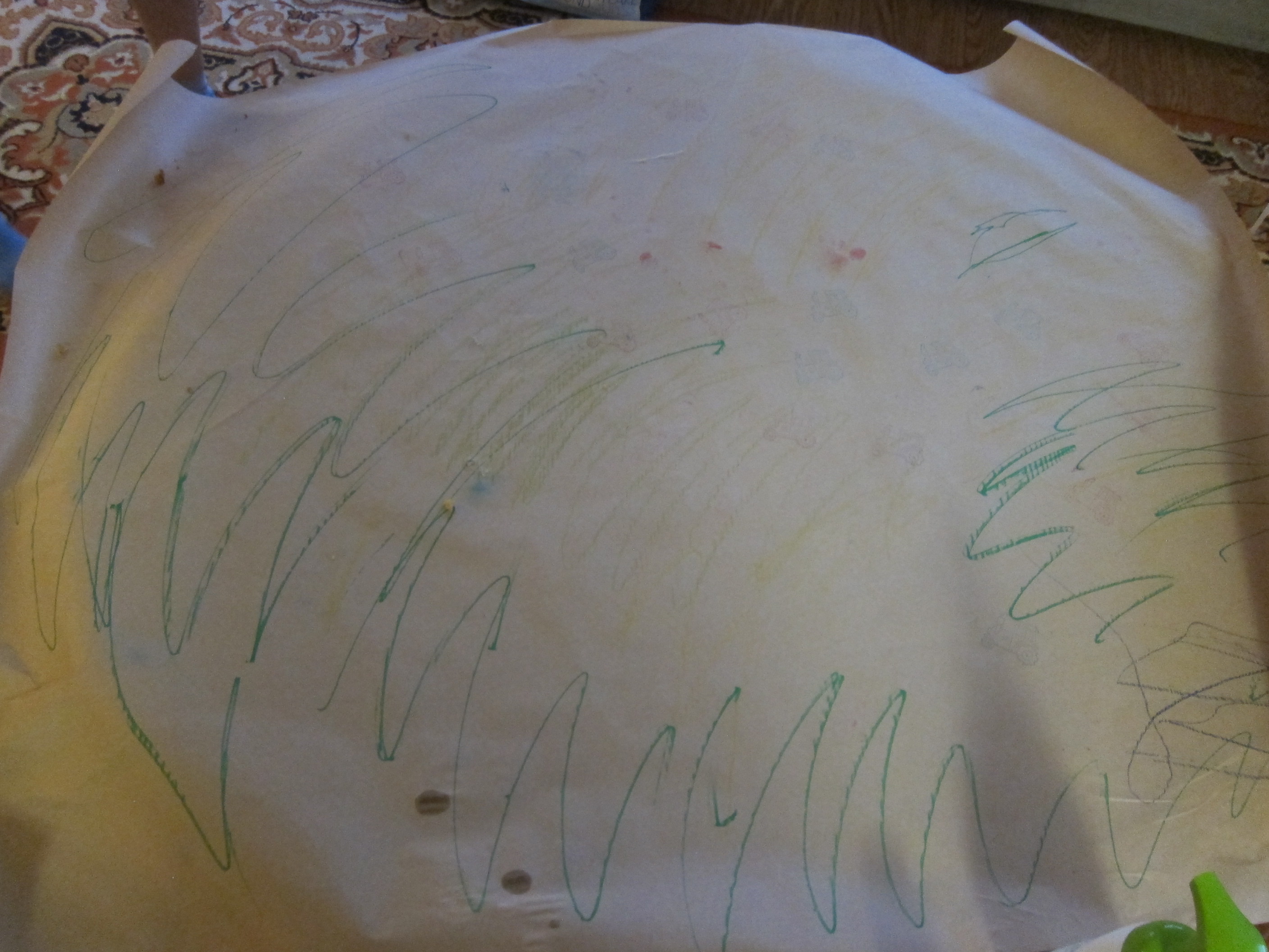 Party Tablecloth (4)