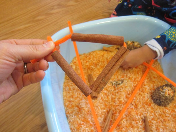 Pumpkin Scented Rice (10)