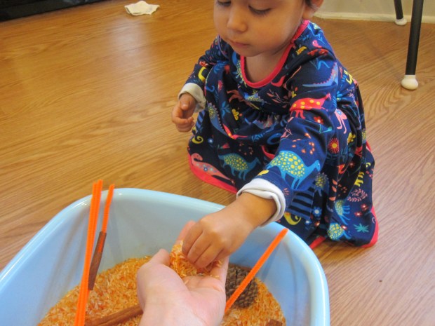 Pumpkin Scented Rice (4)