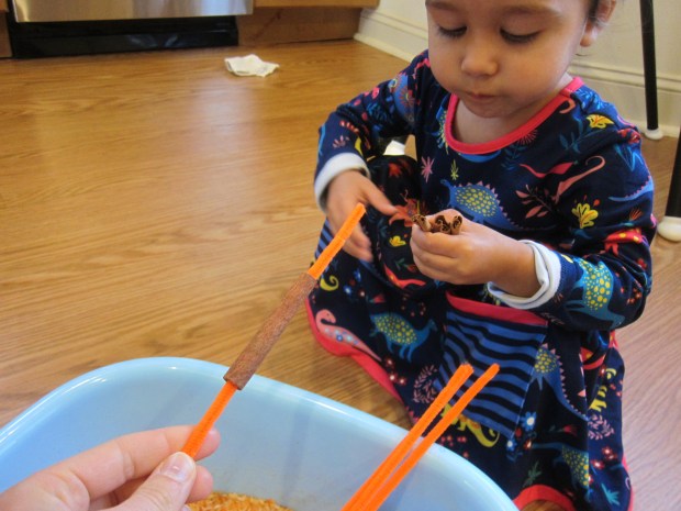 Pumpkin Scented Rice (7)