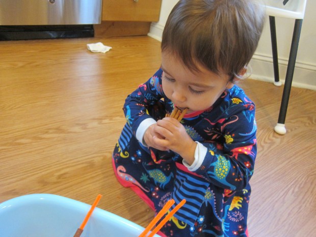 Pumpkin Scented Rice (8)