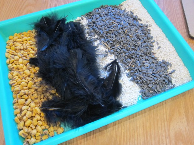 Sensory Pumpkin Decorating (1)