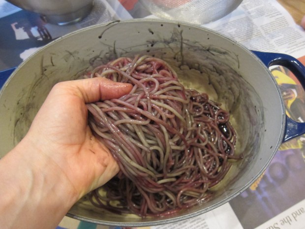 Spaghetti Potion (2)