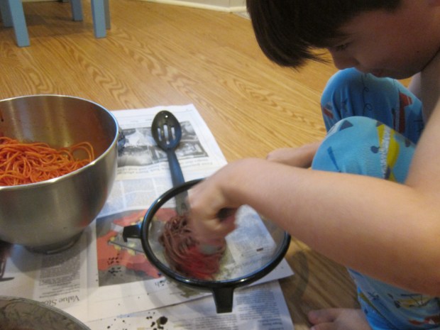 Spaghetti Potion (4)