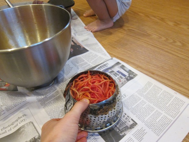 Spaghetti Potion (7)