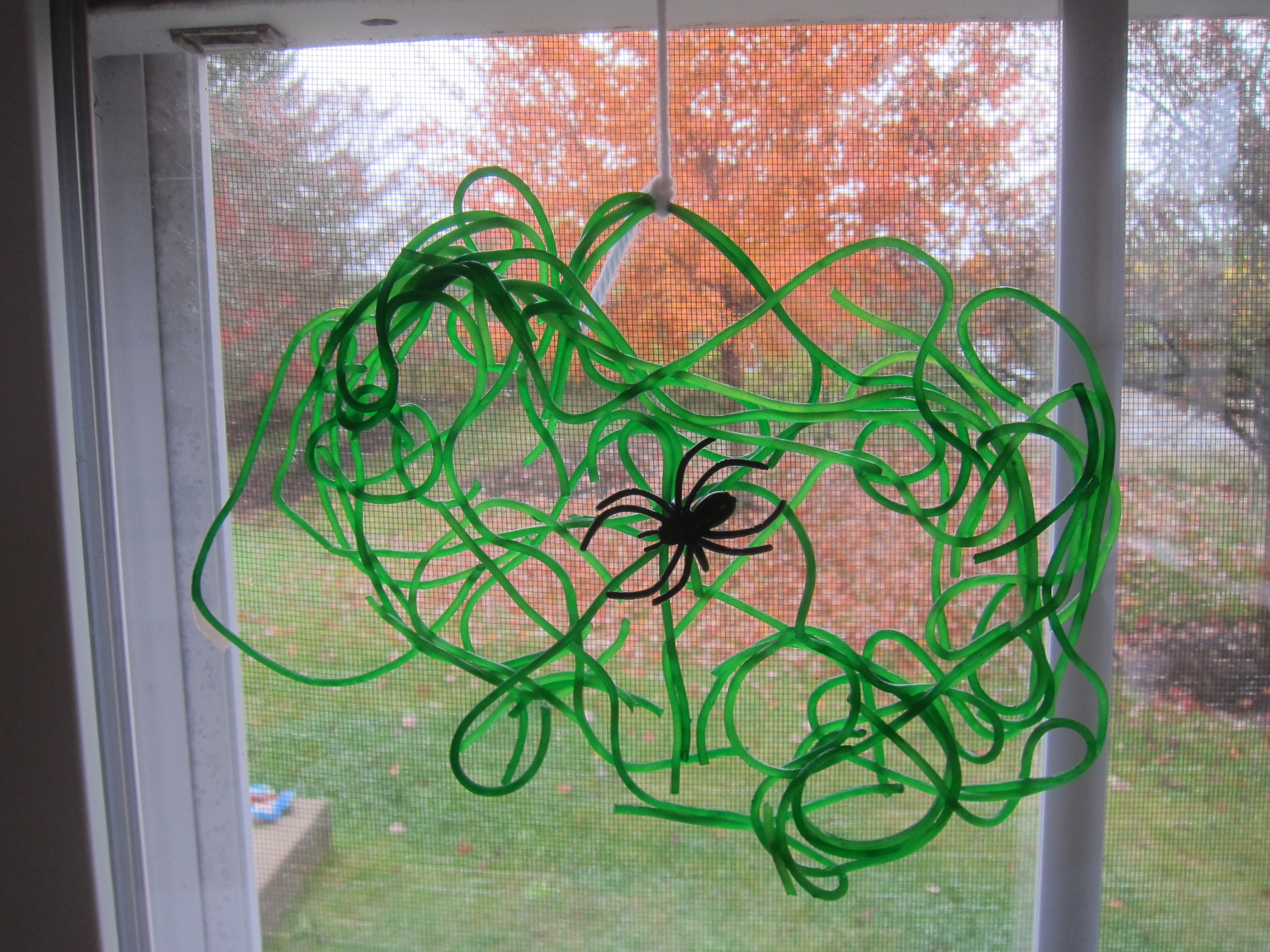 Spaghetti Spider Web (10)