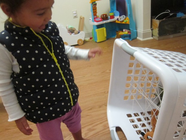 Spider Web Discovery (4)