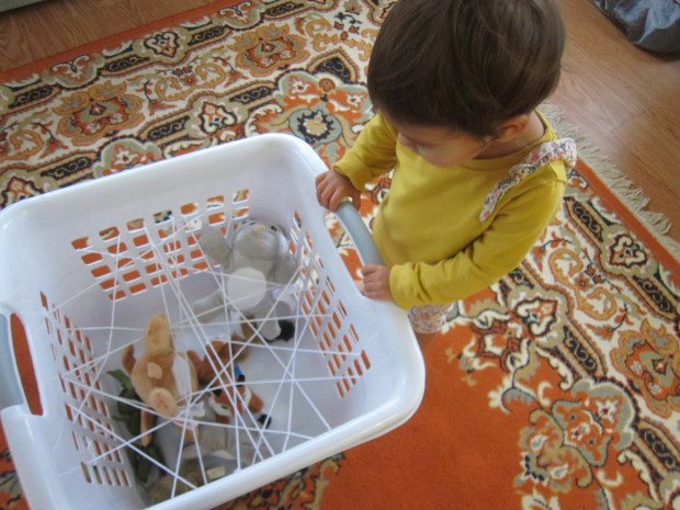 Spider Web Discovery (8)