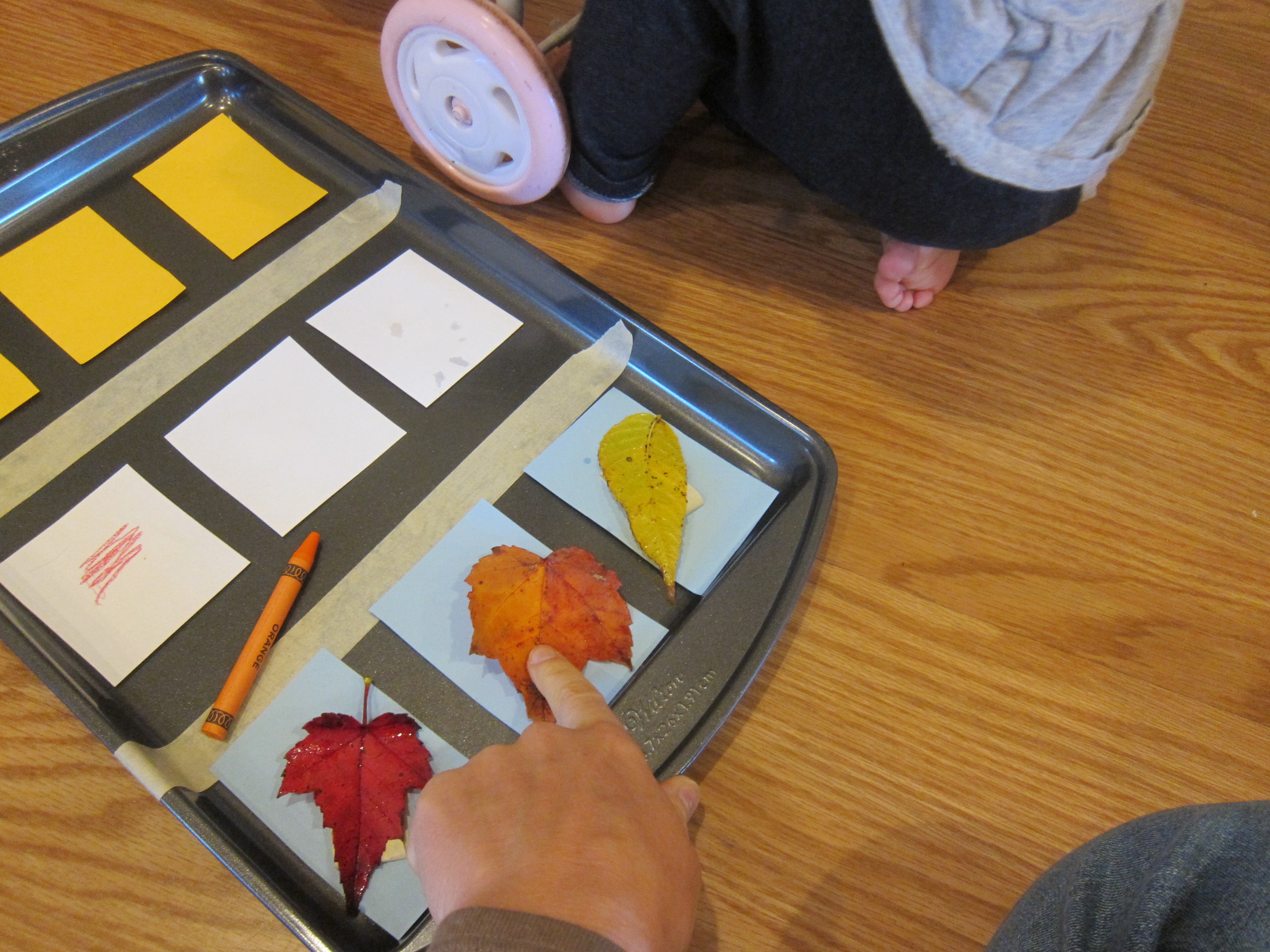 Toddler Fall Leaf Chart (4)