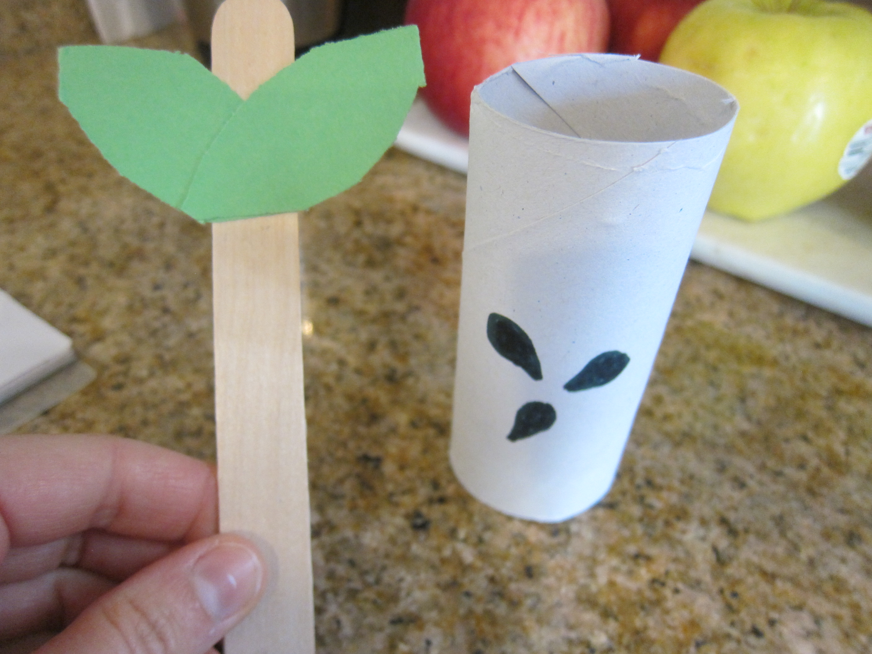 Apple Core Craft (3)
