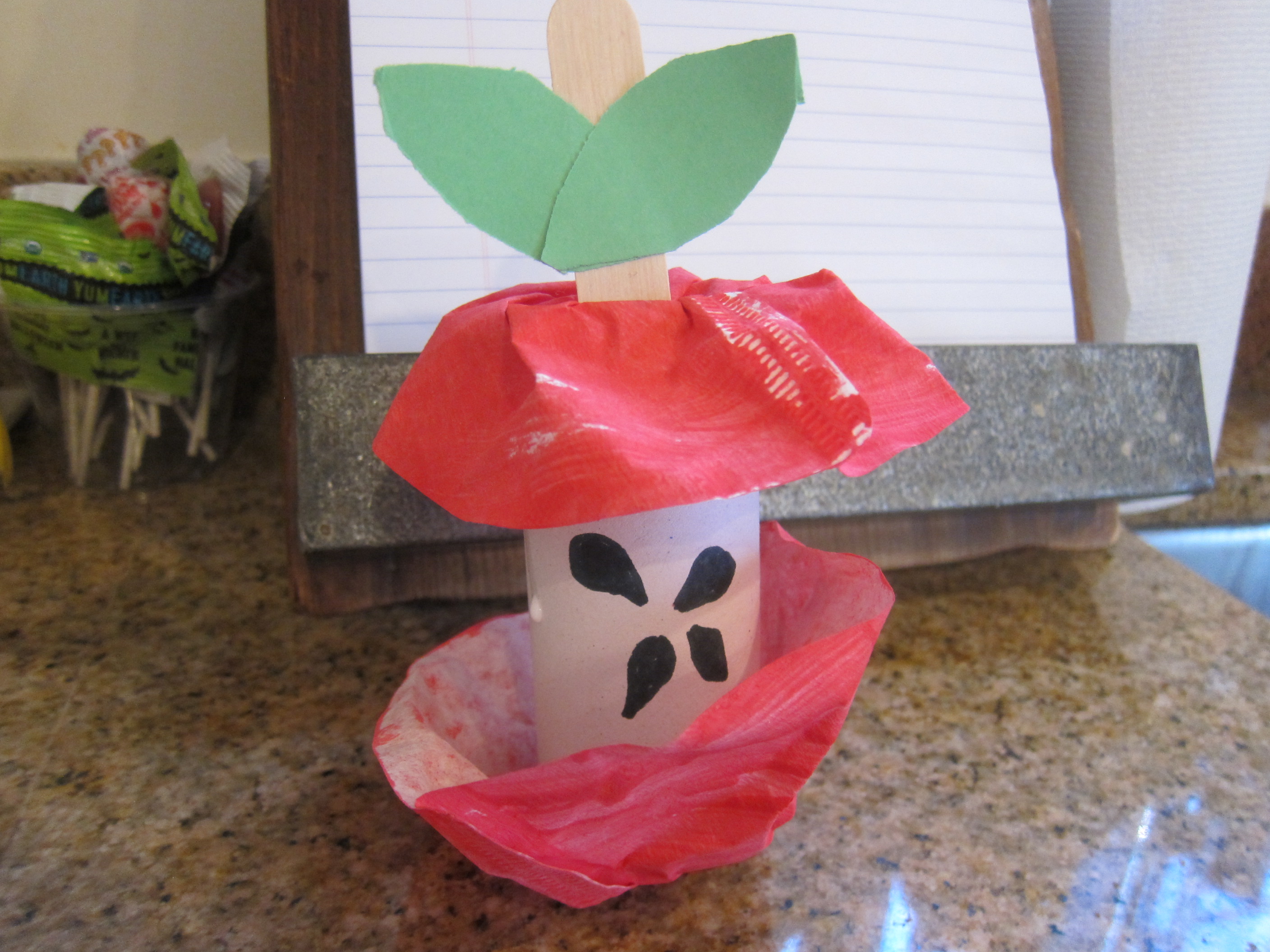 Apple Core Craft (4)