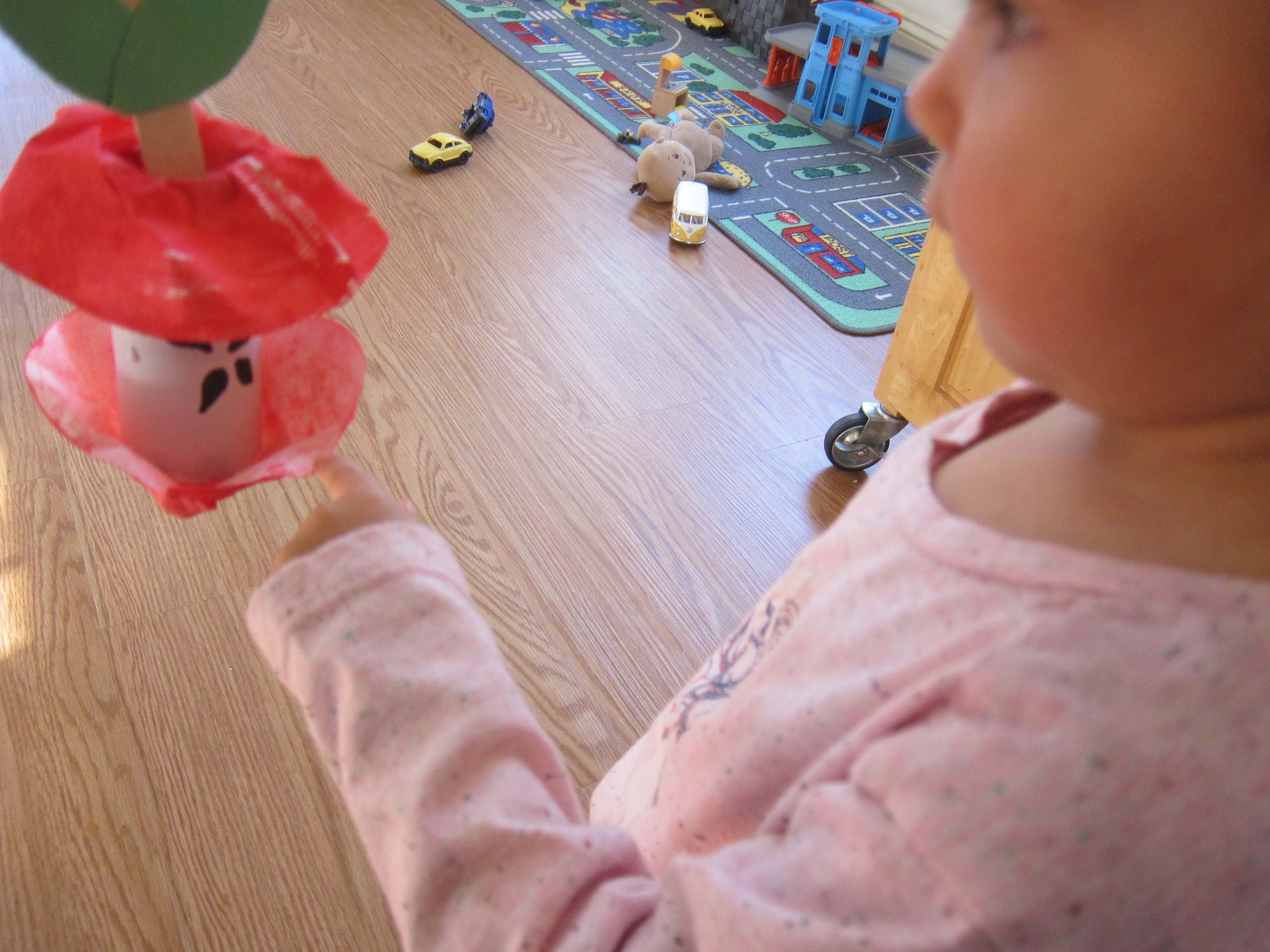 Apple Core Craft (5)