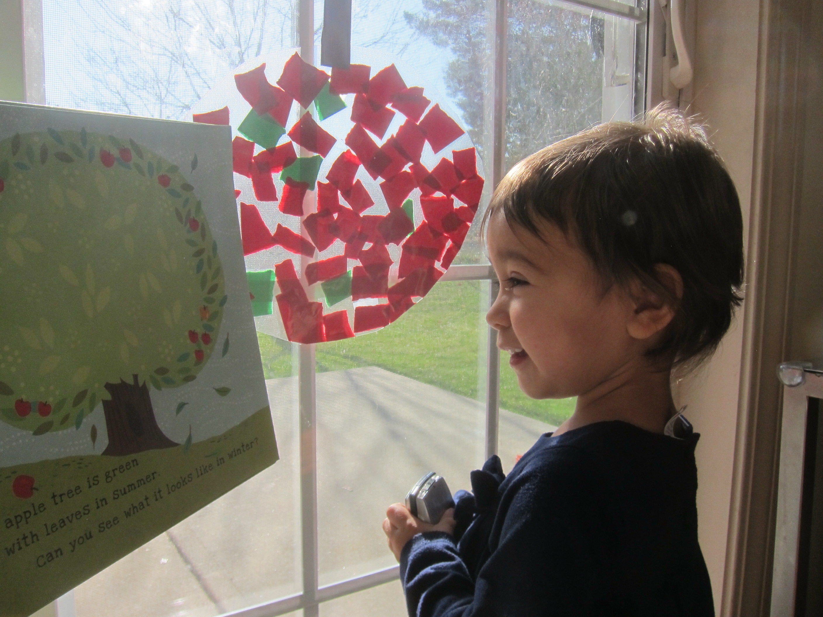 Apple Tree Suncatcher (9)