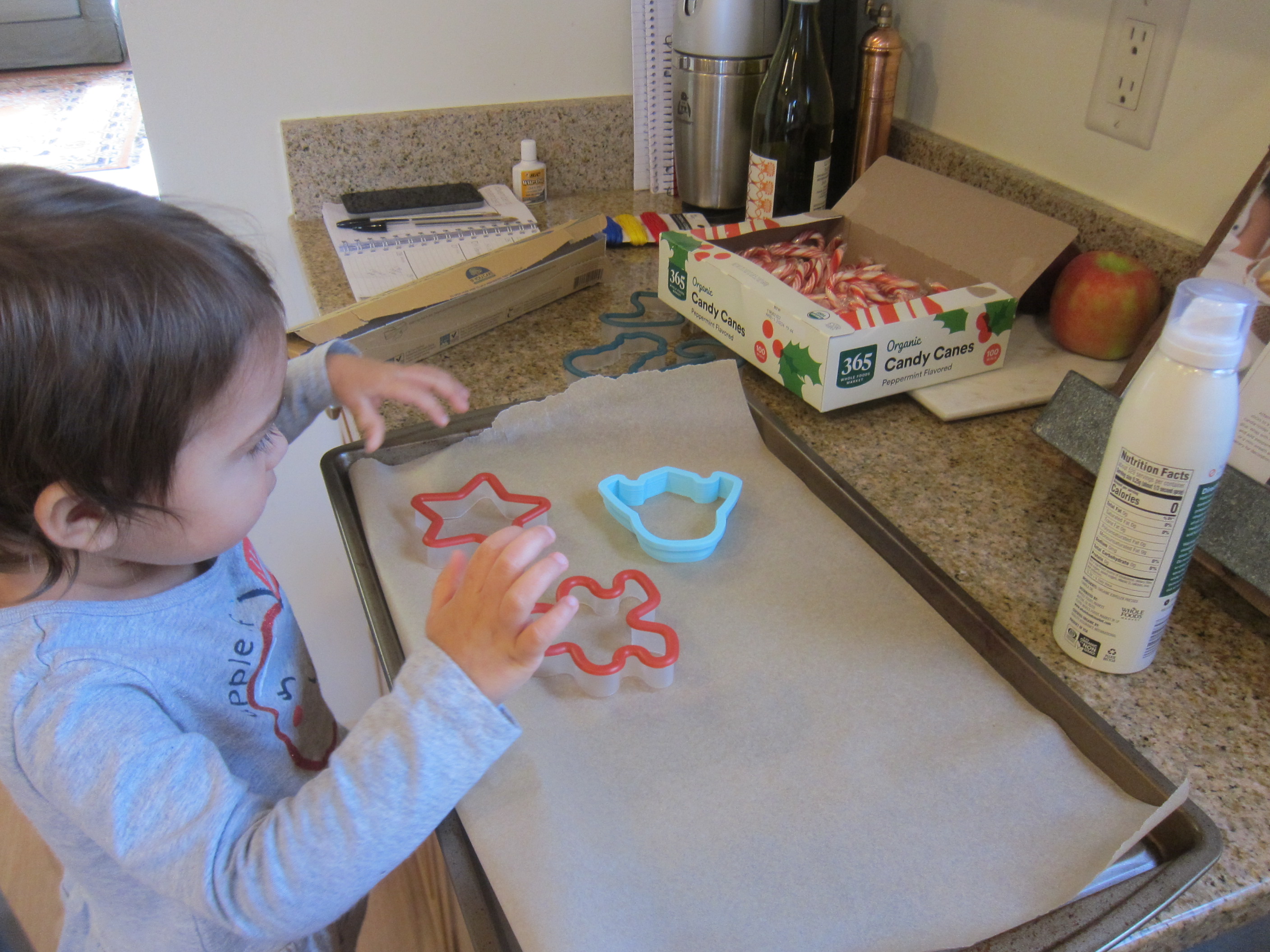 Candy Cane Ornaments (1)