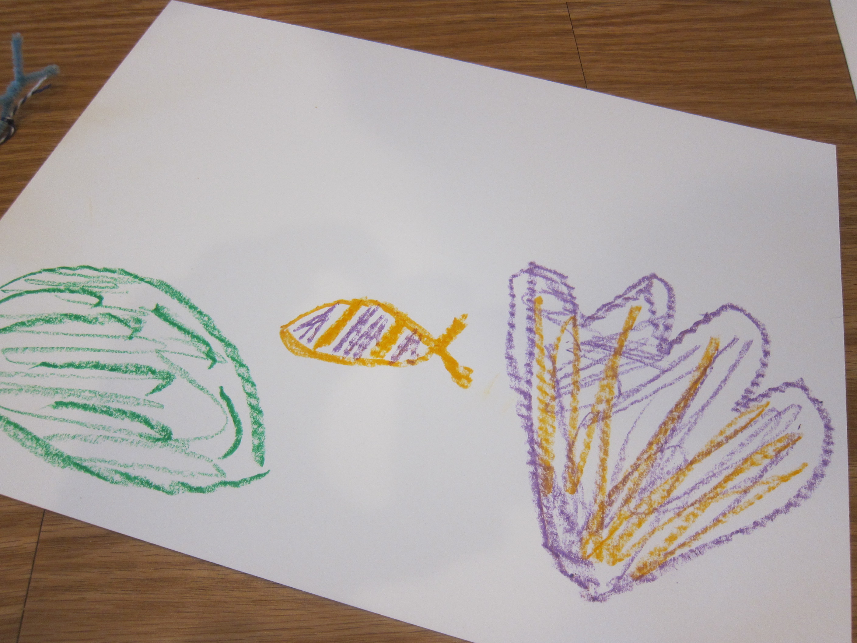 Coral Reef Creation Station (3)