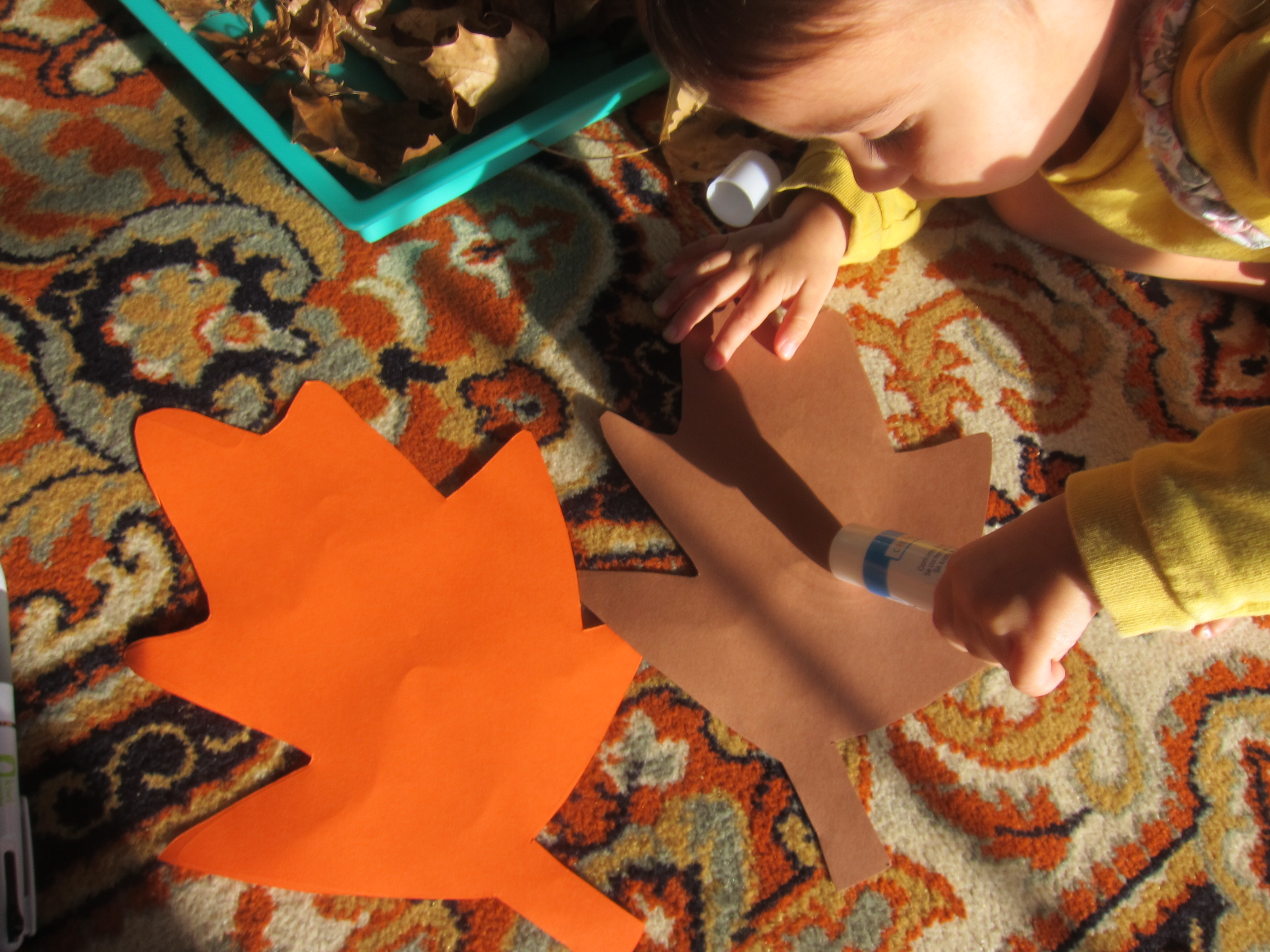 Dry Leaf Collage (3)