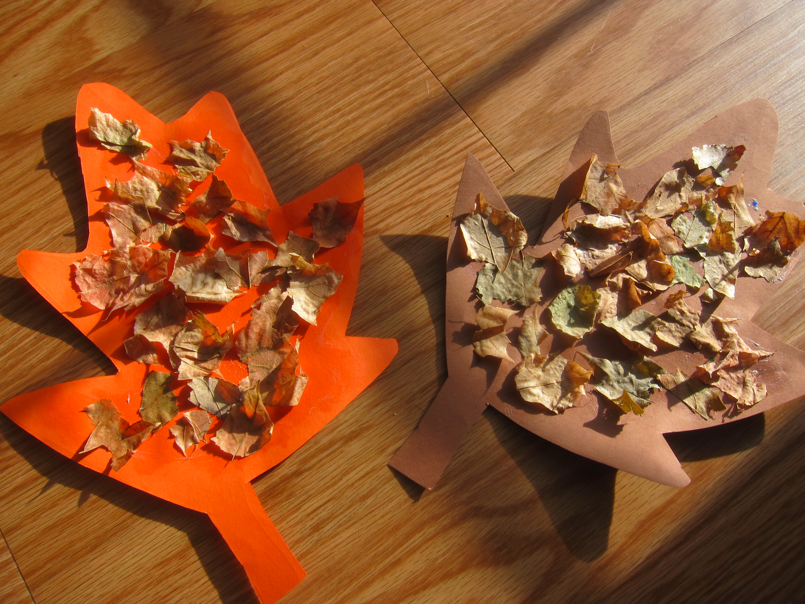 Dry Leaf Collage (7)