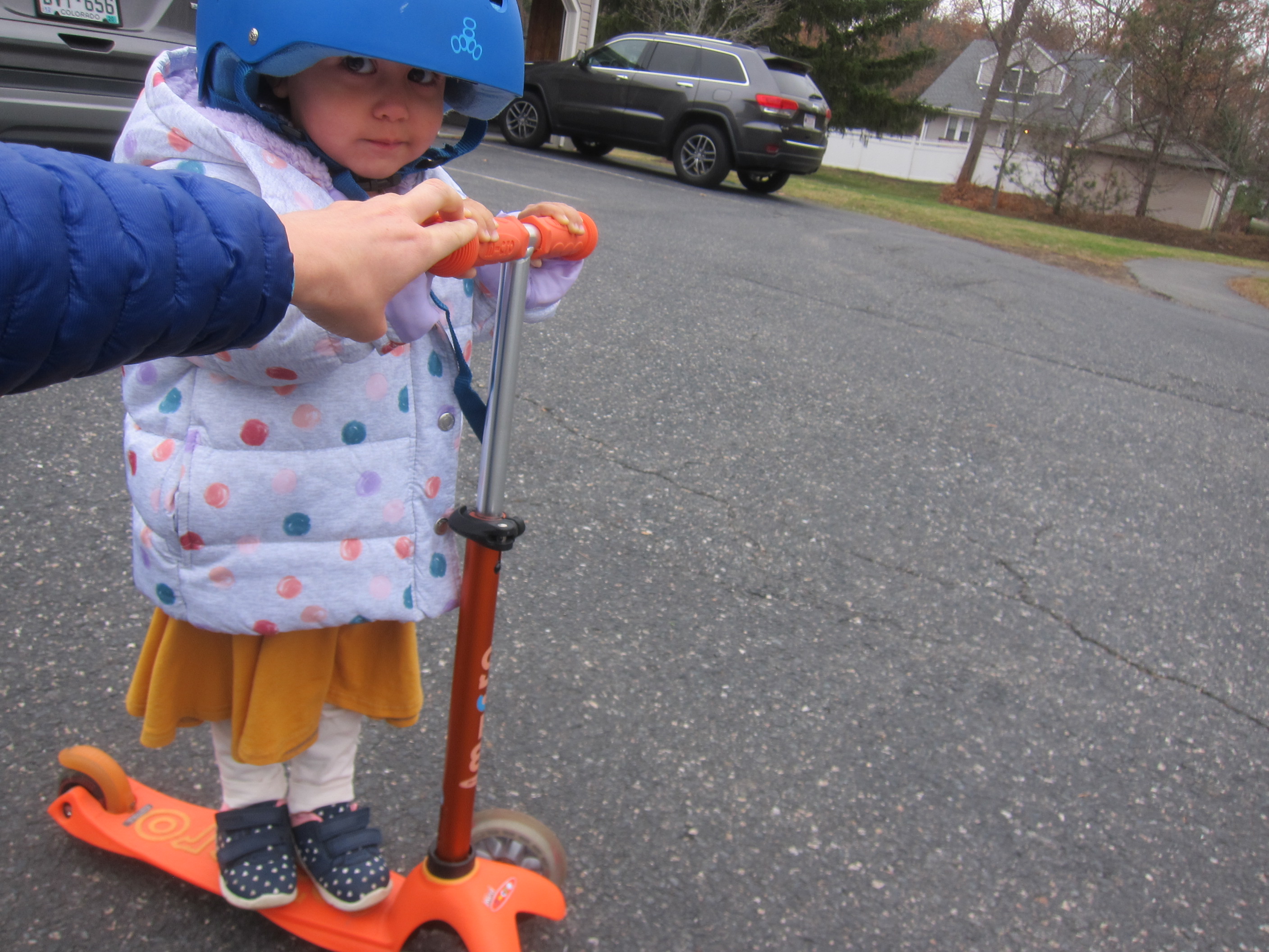 Go for a Ride Day (2)