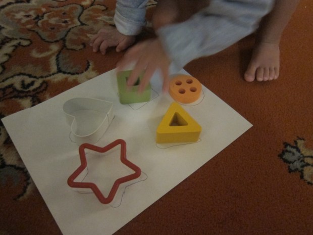 Go On a Shape Hunt (8)