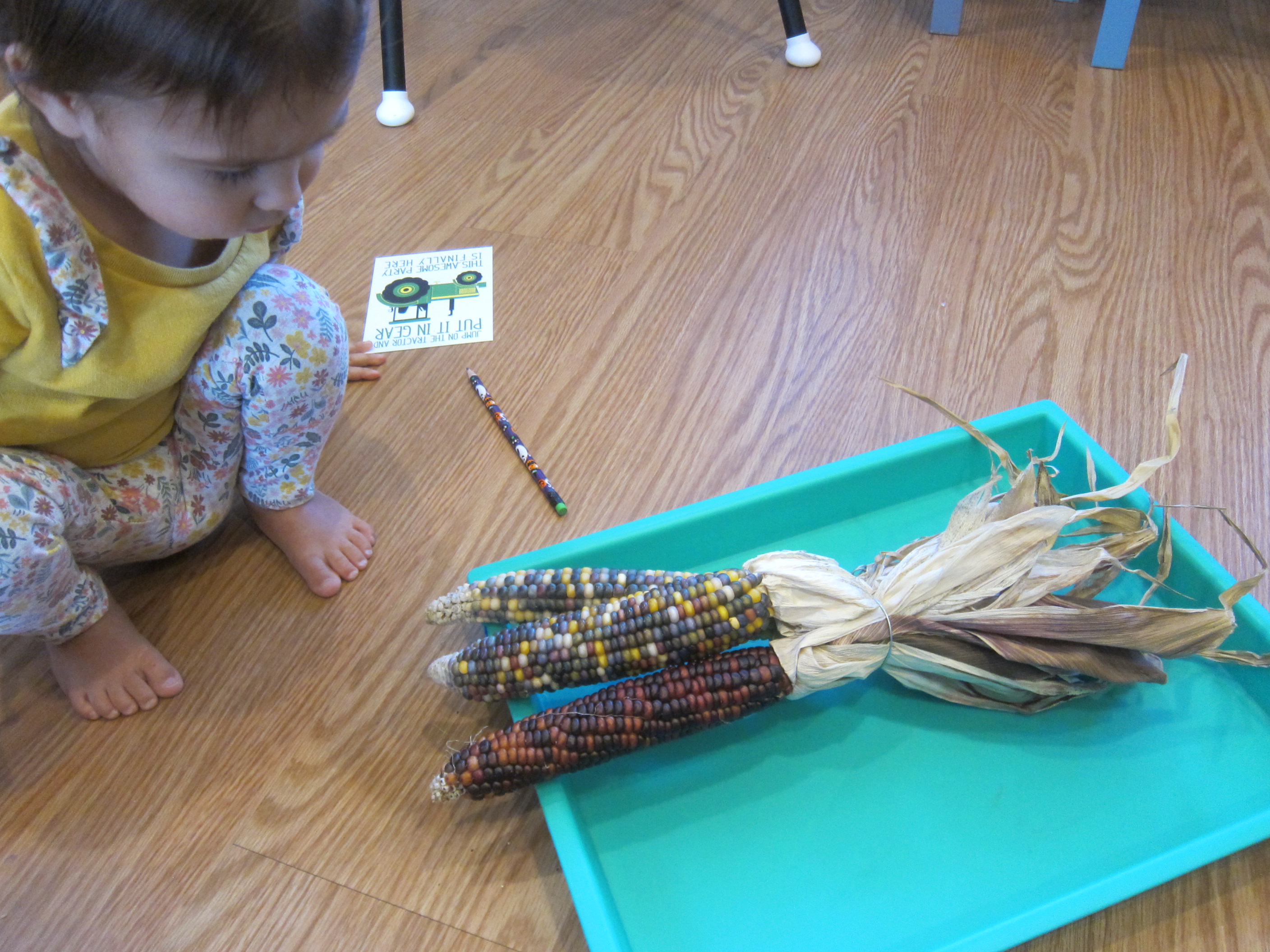 Indian Corn Squish Bag (1)