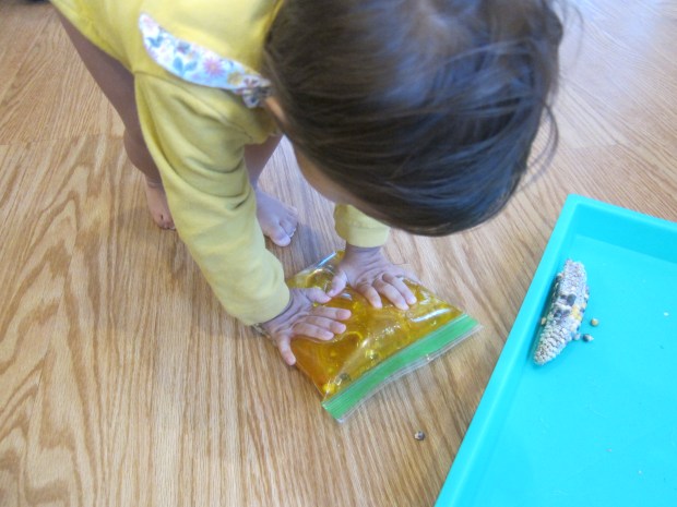 Indian Corn Squish Bag (5)