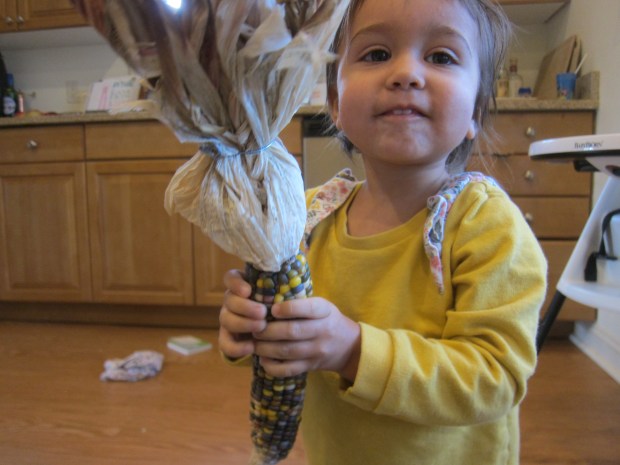 Indian Corn Squish Bag (8)