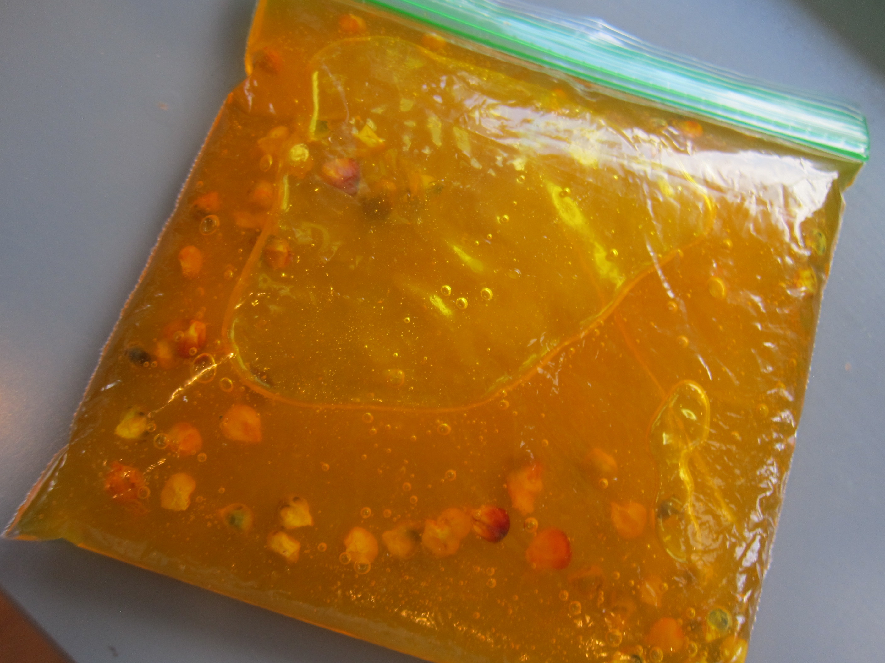 Indian Corn Squish Bag alt