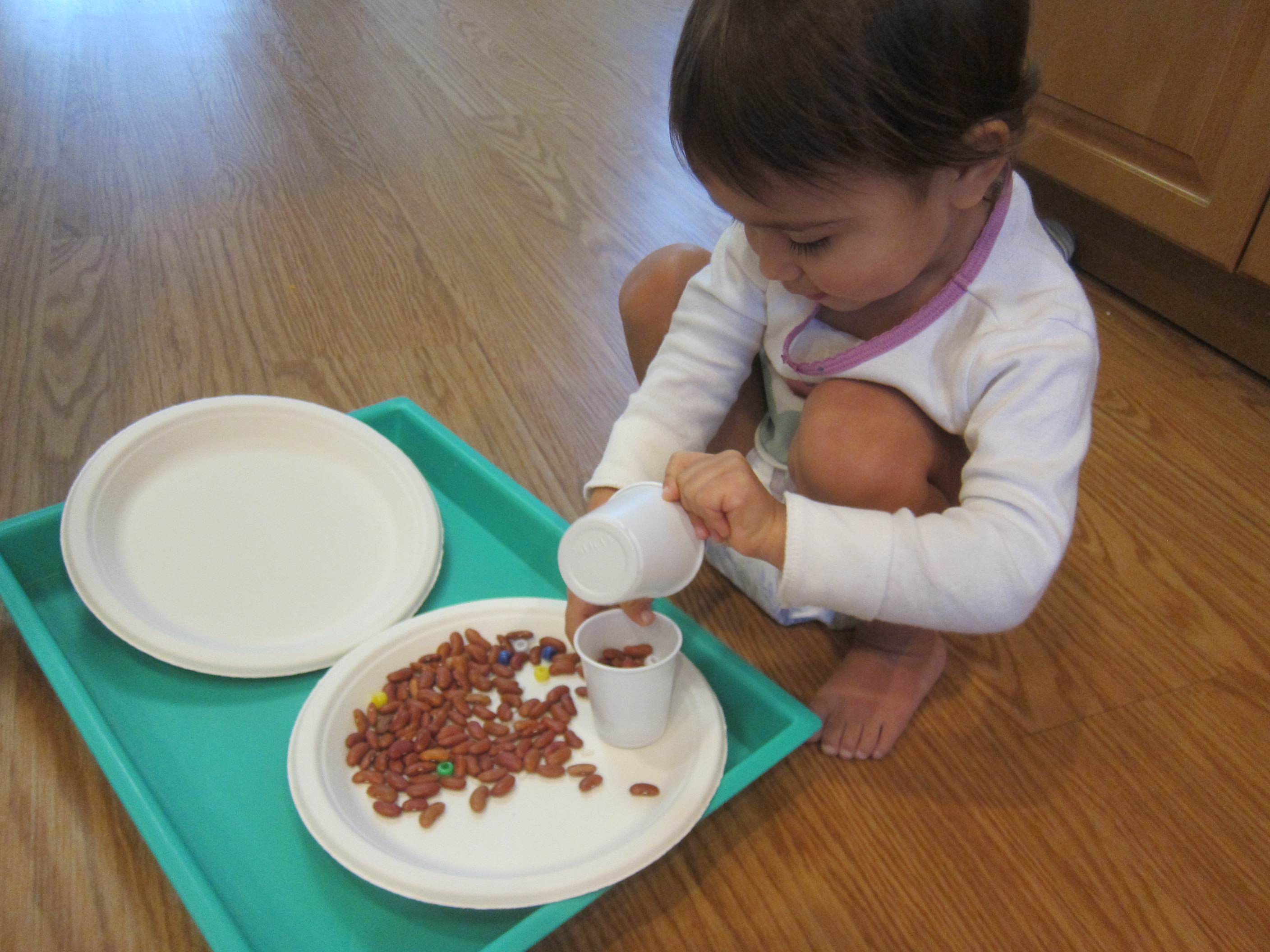 Thanksgiving Turkey (1)