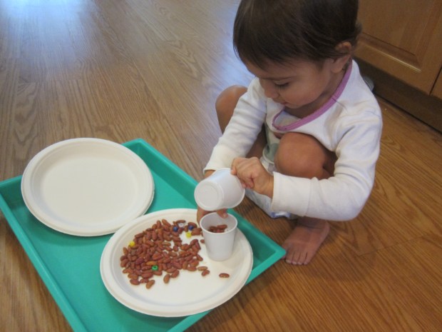 Thanksgiving Turkey (1)