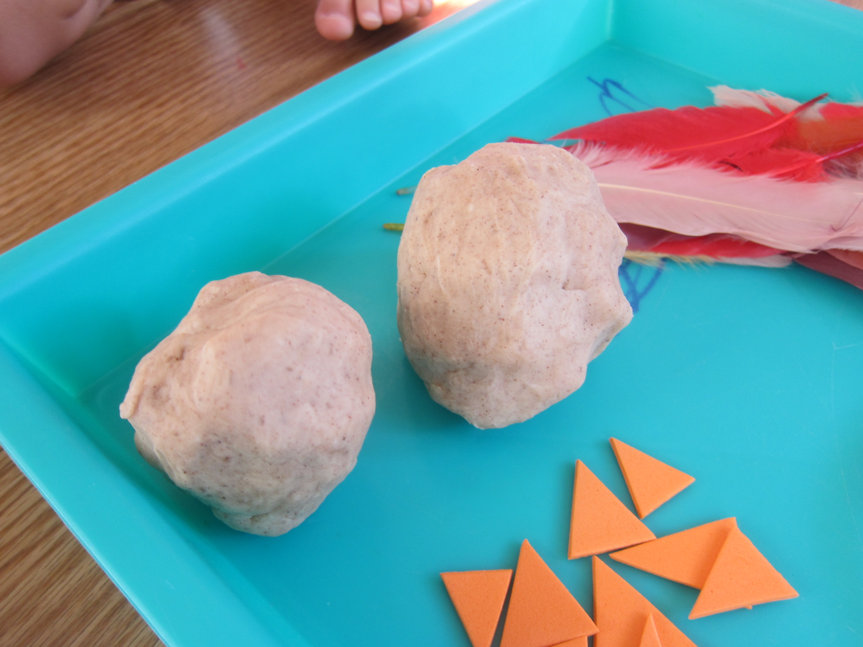 Turkey Play Dough (2)