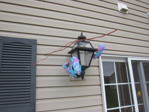 Water Bottle Fish Mobile (6)