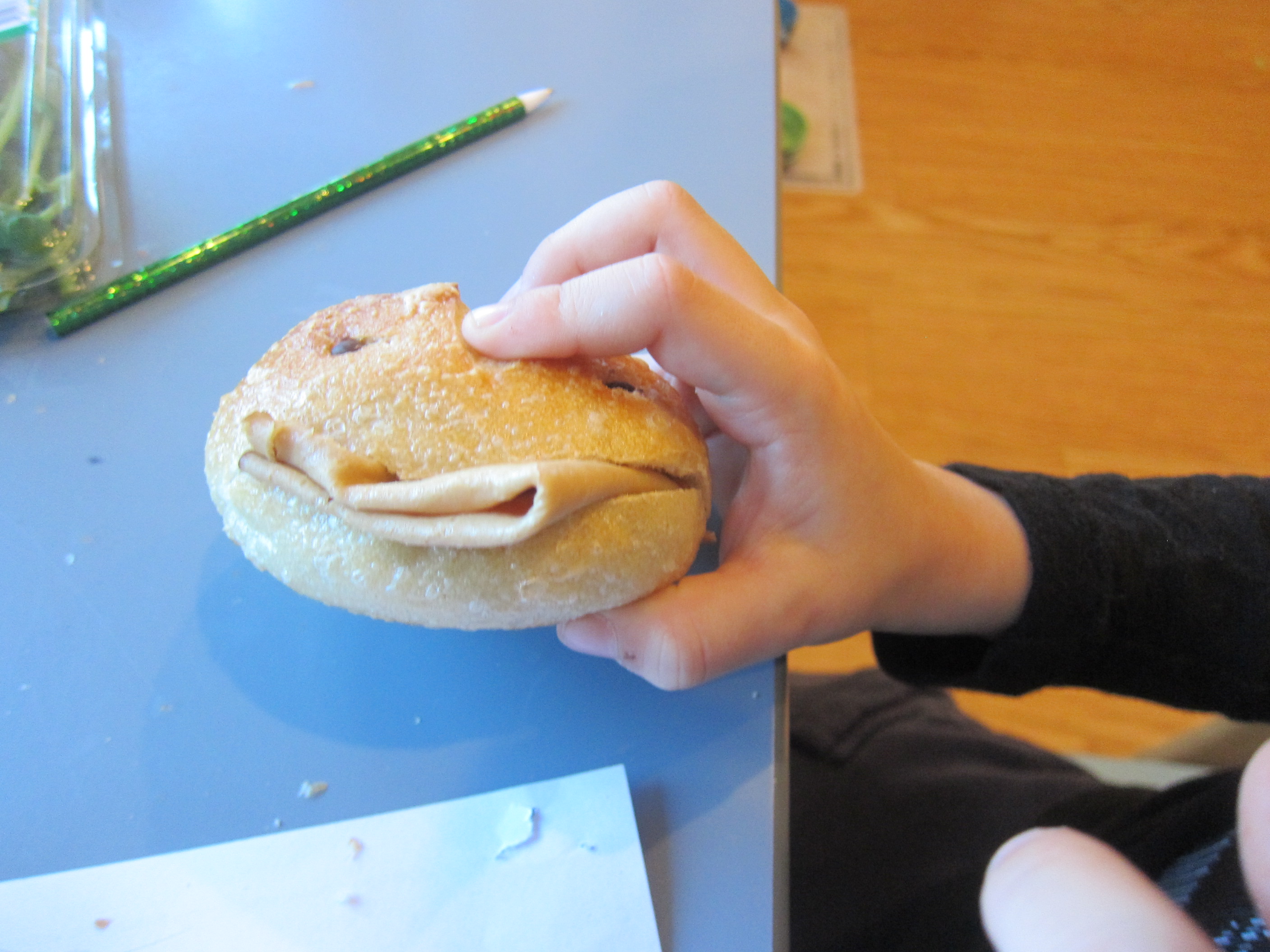 Bread Roll Puppet (2)