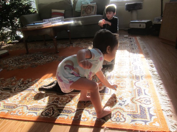 Dance Like a Penguin (11)