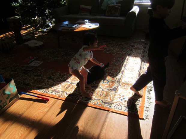 Dance Like a Penguin (4)