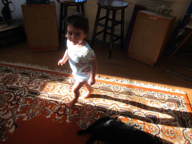 Dance Like a Penguin (7)