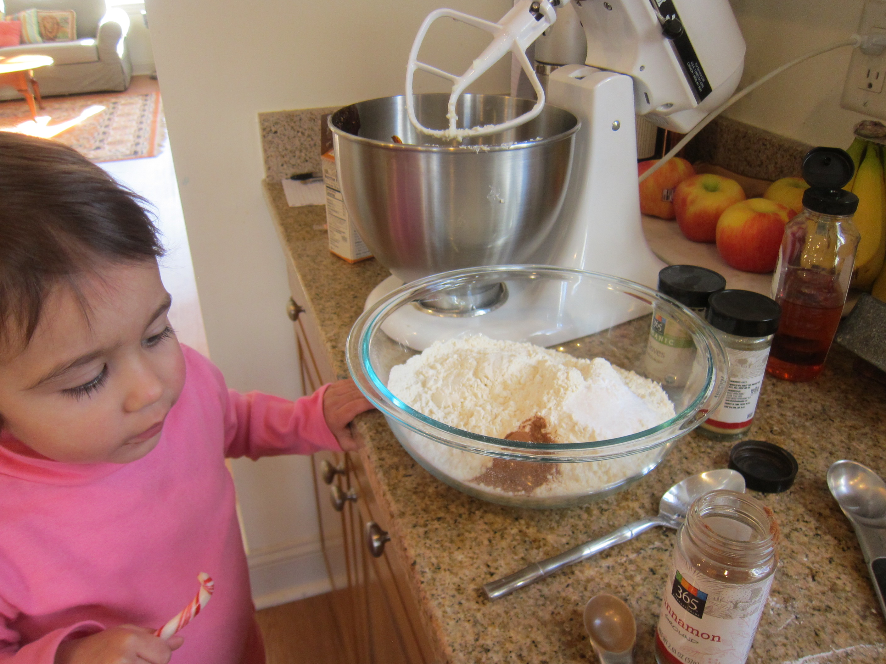 Gingerbread People (1)