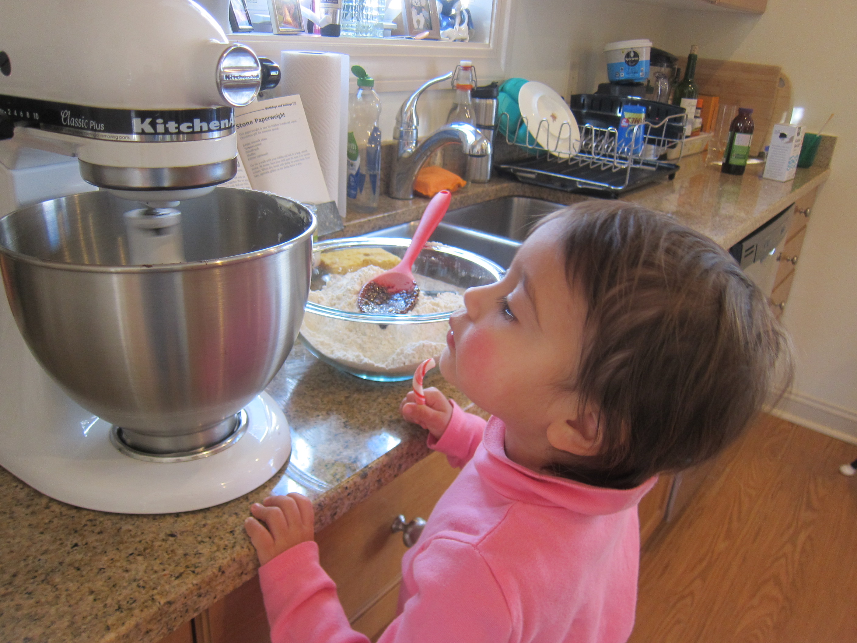 Gingerbread People (2)