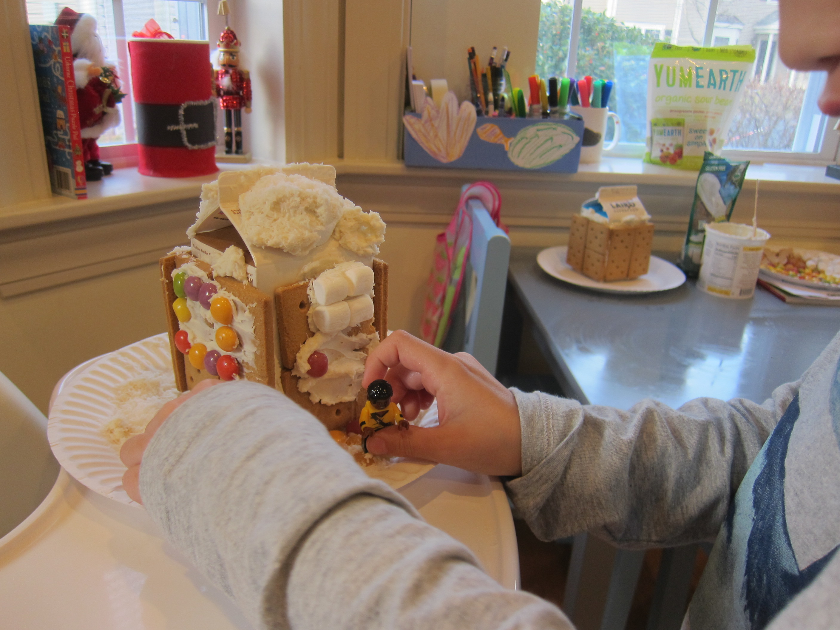 Insta-Graham Houses (11)