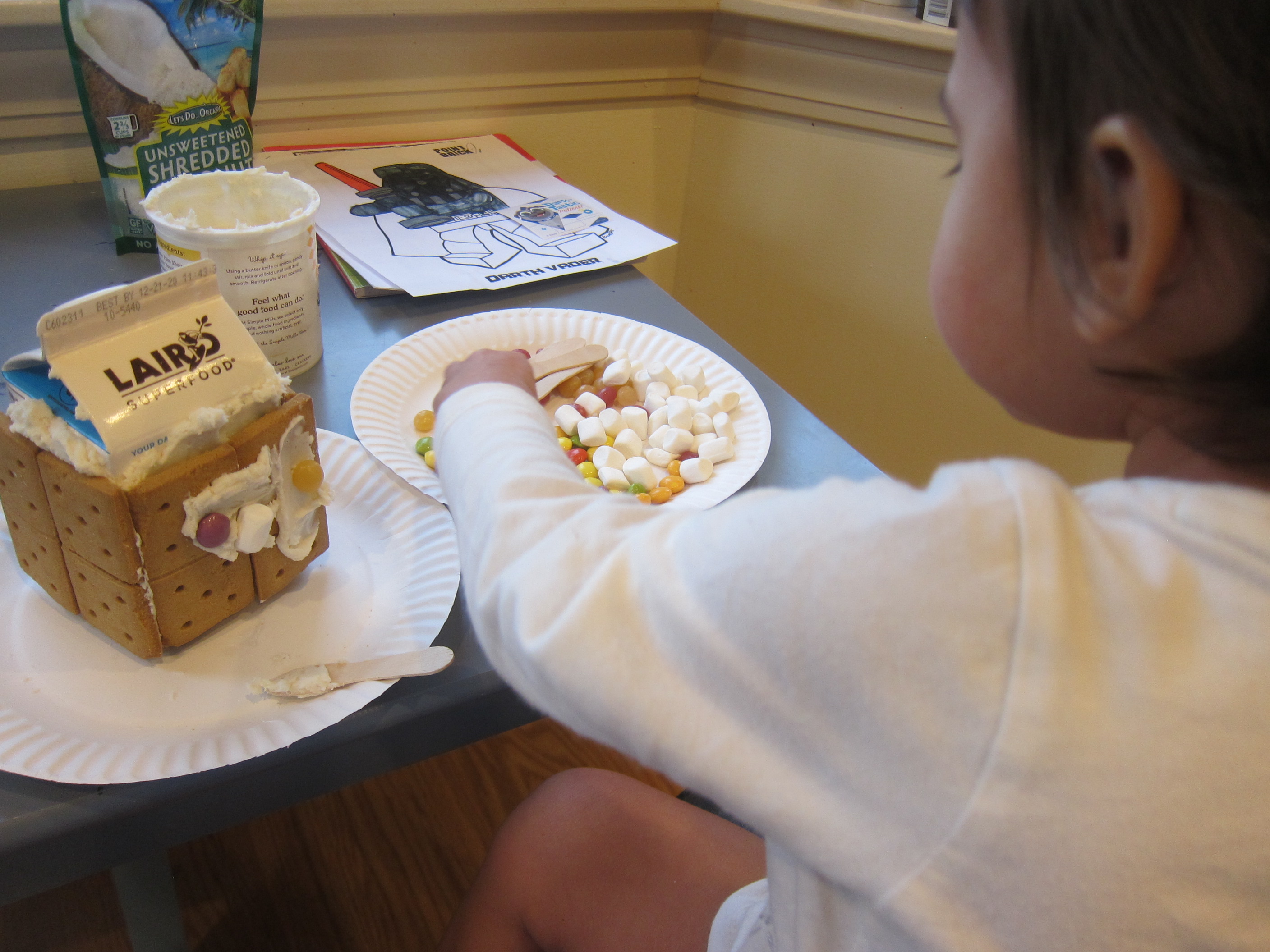 Insta-Graham Houses (13)