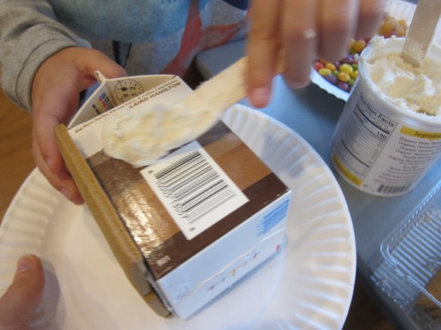 Insta-Graham Houses (2)